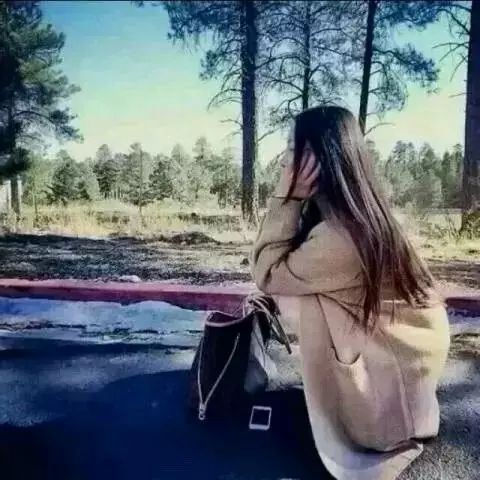 经典的最具有诗情画意的诗句古诗