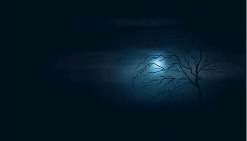 描写一个人在黑夜害怕的句子大全
