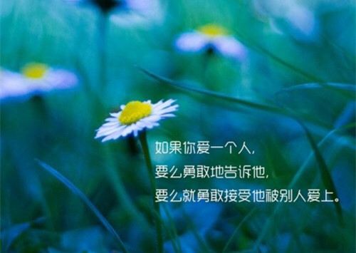描写绿色的优美句子 蓝天底下，满眼绿色，一直铺向远方
