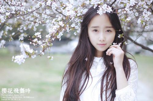 关于描写春天樱花的优美句子唯美段落