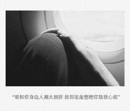 形容赞美花儿盛开的成语大全及解释