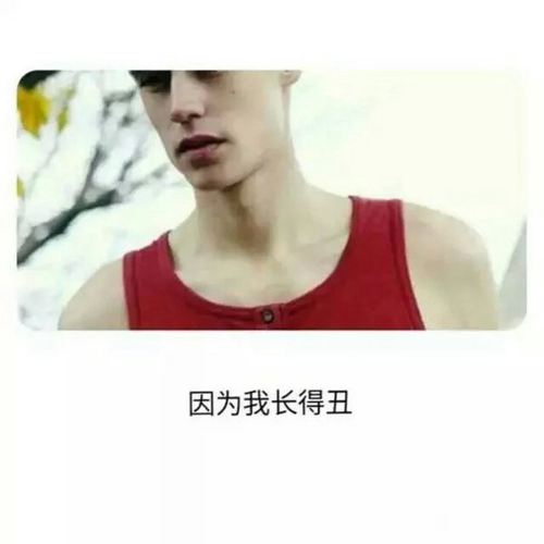 描写春天和夏天树林的优美句子和段落大全摘抄