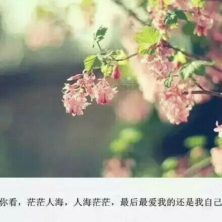 国庆商场家用电器卖场促销广告宣传词