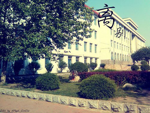离别的伤心句子