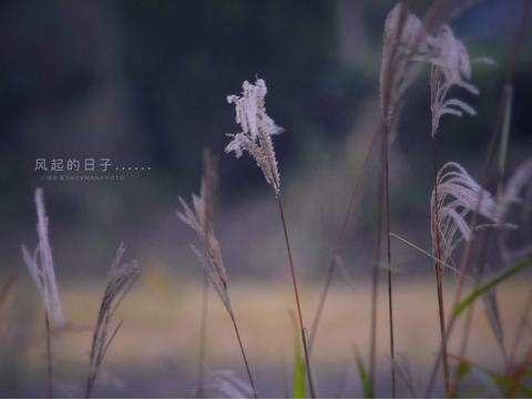 形容让人后悔的句子