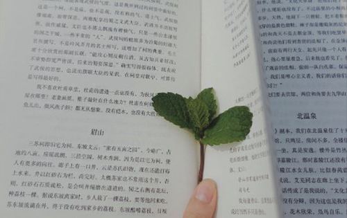 唯美可爱的小句子大全  看一眼就喜欢的温柔说说