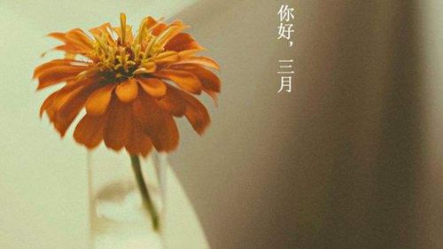 关于三月的唯美句子、图片 二月再见三月你好