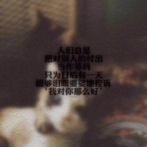 爱极度心碎的句子