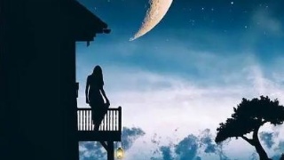 关于感情心碎的句子