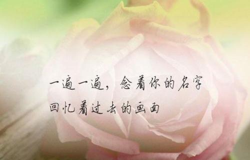 向情人告白时心碎的句子