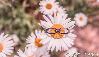 我不是你的备胎心碎的句子