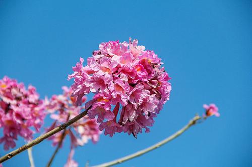 适合夏天的短句说说 夏天快来的说说心情