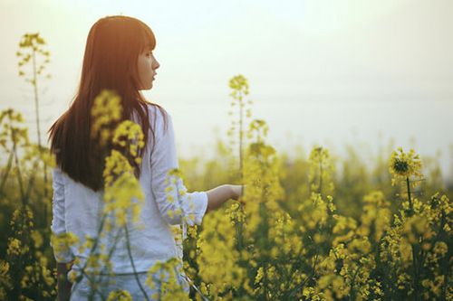 早安说说一句话 明明生活过的很糟，却还要表现的若无其事