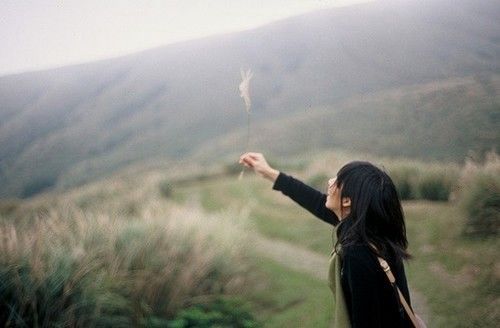 有关夏至的优美句子 夏至唯美的经典好词好句