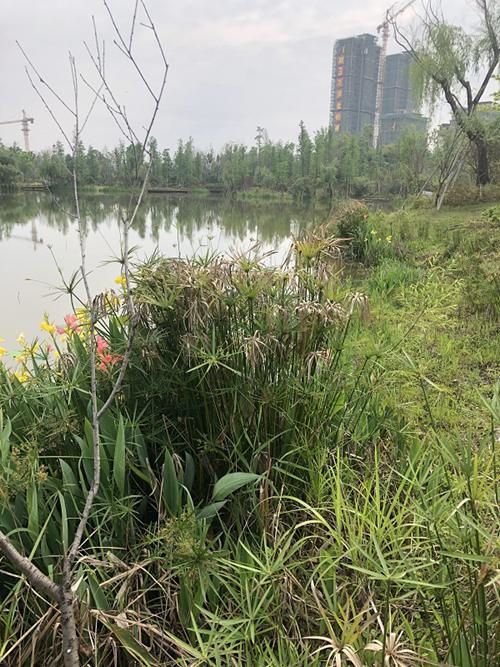 夏天发朋友圈的小清新句子