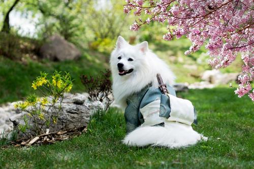 蕴含哲理的唯美句子 人生意境简短语句