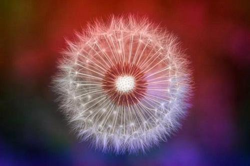 关于过年的简短句子 新年——新的一年的开始