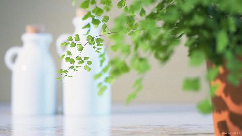 无情的说说心情句子 你的无情练就了我的绝情