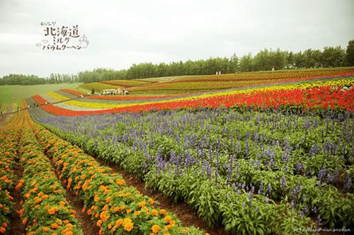 qq空间文艺说说