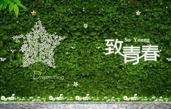 关于青春的优美句子