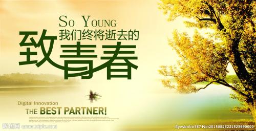 致青春经典语录