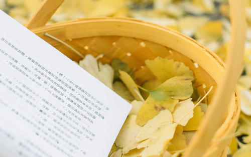 关于开心的说说句子 开心正能量说说句子