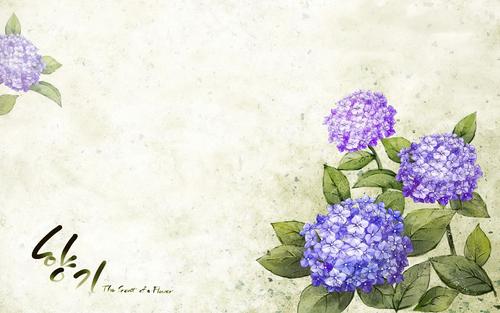 环境描写的句子关于早晨开心