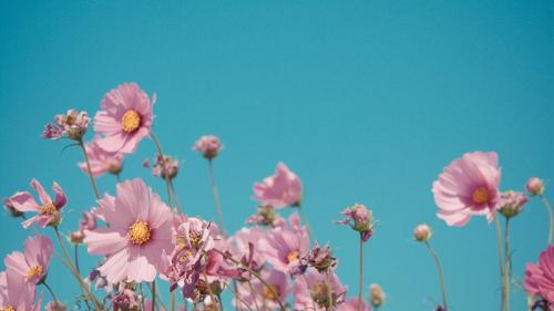 同事开心快乐的句子