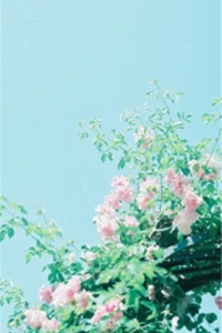 心情很不好不开心的句子