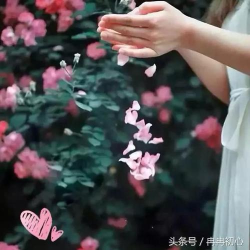 开心点的句子正能量