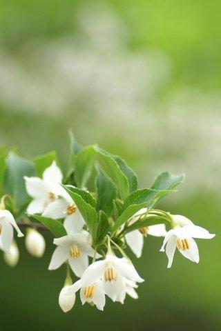 开心的高级句子