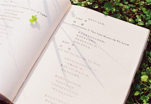 心太乱不开心的句子