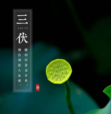 三伏天祝福语