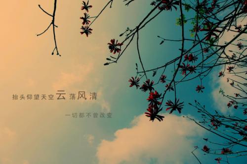 教师节给老师留言的暖心句子 感恩的句子