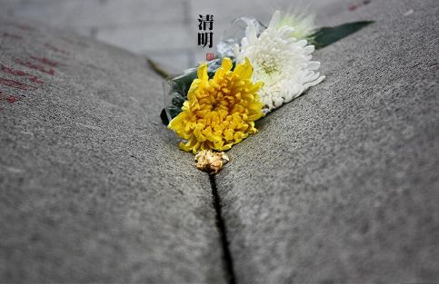 2021最新清明节短信问候祝福语大全 清明节该说什么祝福语