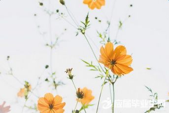 春天周一问候短信