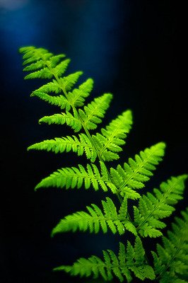 客户问候短信集锦