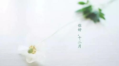 十二月你好朋友圈说说