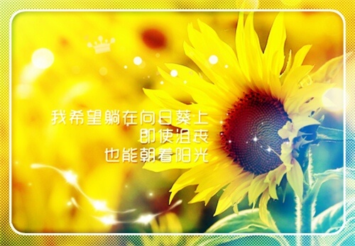 最经典最自律的话