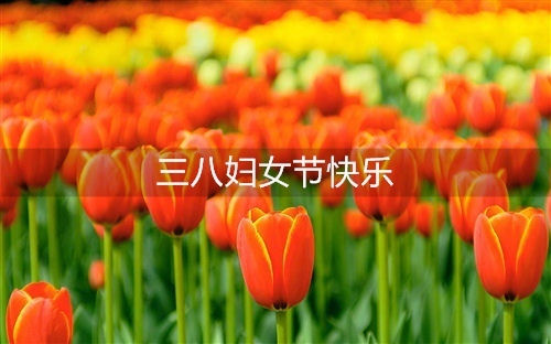 38妇女节心情说说 38妇女节说说怎么写
