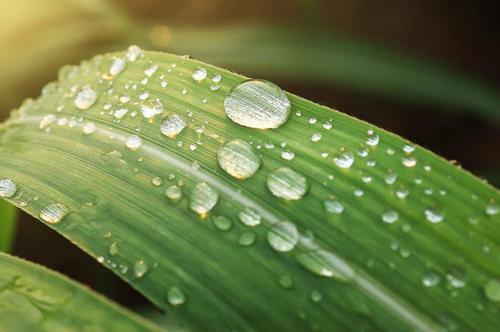 夏天雨后的短信问候