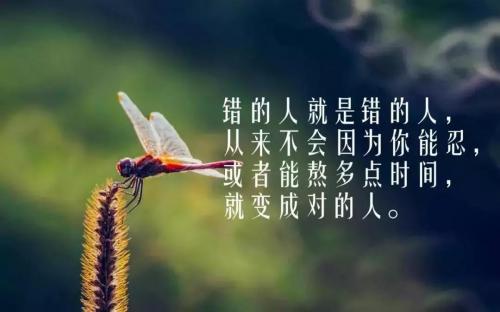 简短一句话心灵鸡汤励志句子