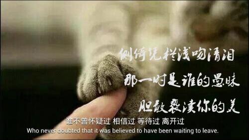 闺蜜间的友情的句子英语