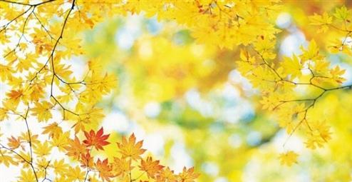 告别2020年迎接2021年句子 时间飞逝，2020年的最后一天