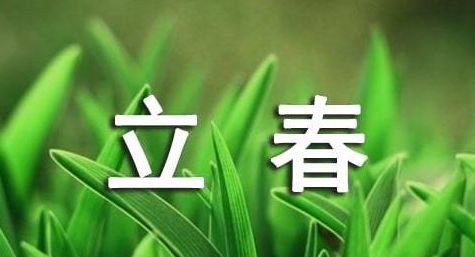 立春的经典语录