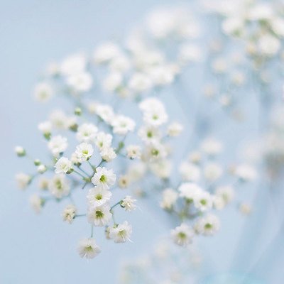 再聚发小的友情的句子