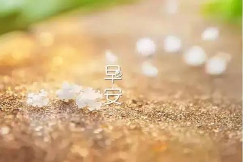 特别暖早安问候语