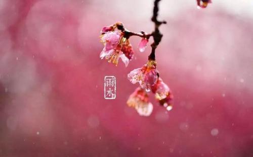 雨水的经典祝福语