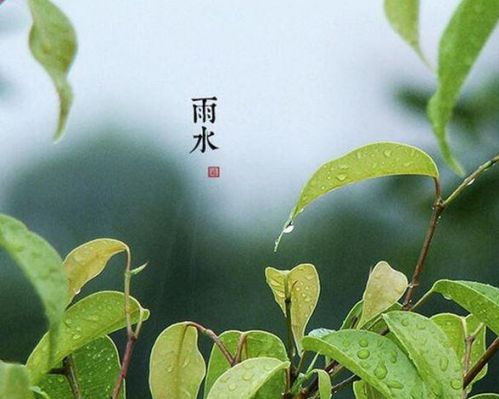 雨水节气祝福语图片唯美