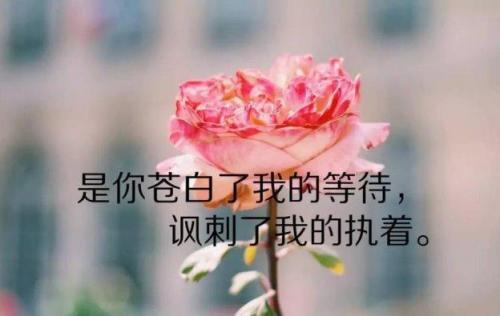 适合发个性签名的短句 发说说简短句子